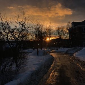 Meet your Posher, Haley